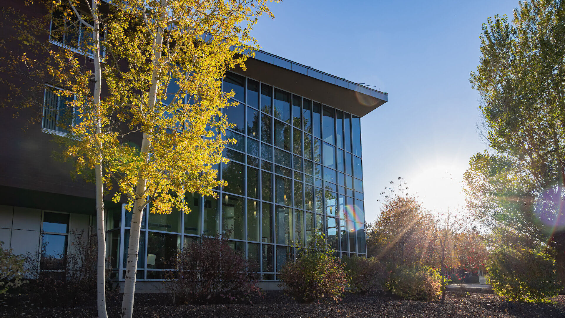 Beautiful fall color around the campus of Northern Arizona University at Arizona