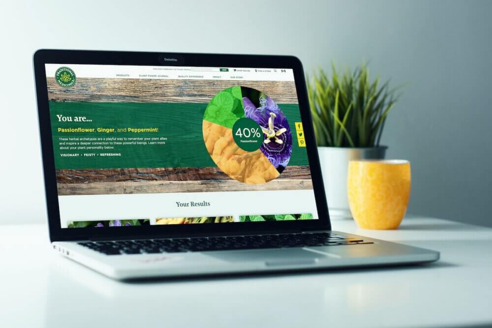 Plant Personality Quiz on a Mac Computer