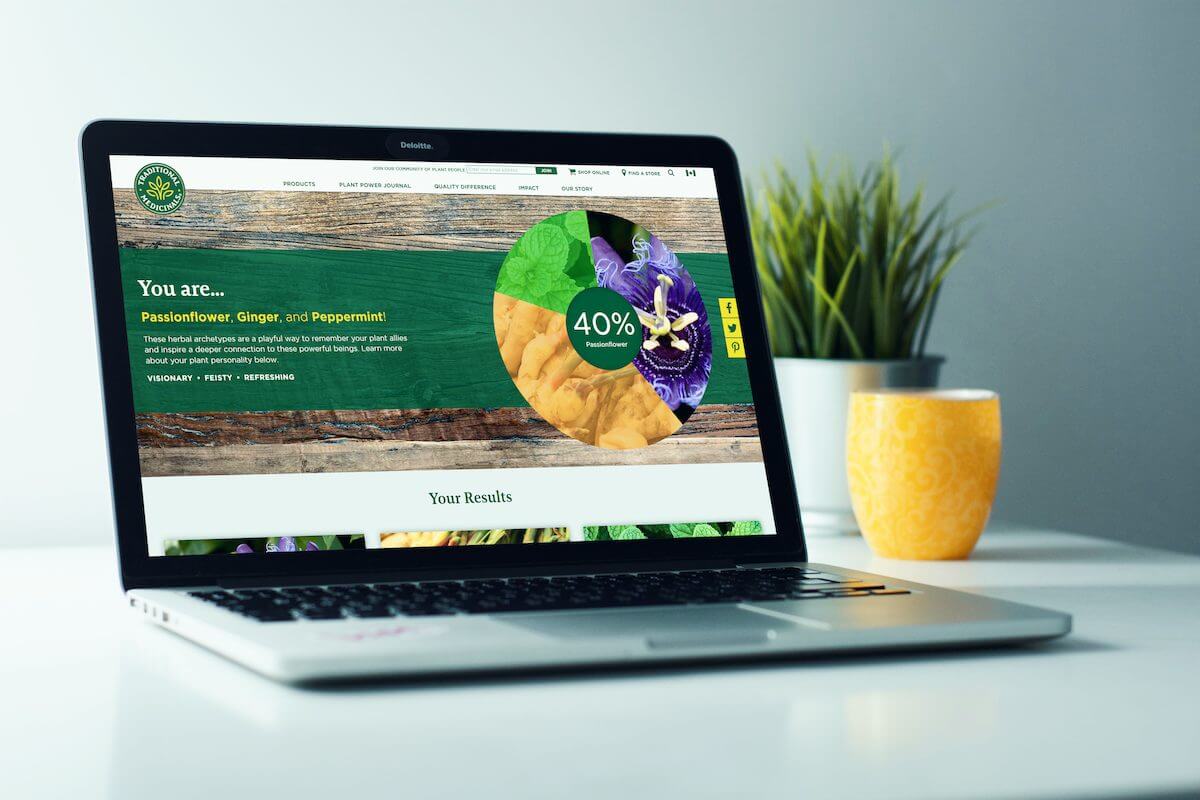 Plant Personality Quiz on a Mac Computer