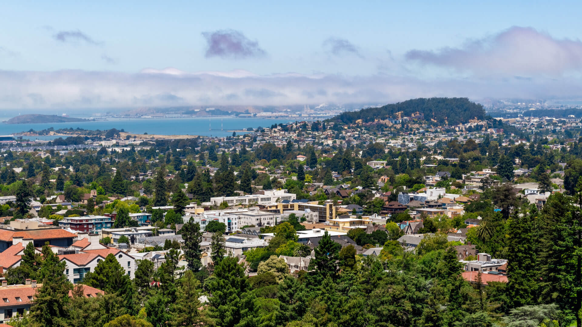 View towards Berkeley, Richmond and the San Francisco bay area shoreline on a sunny day; University of California Berkeley campus buildings in the foreground, California