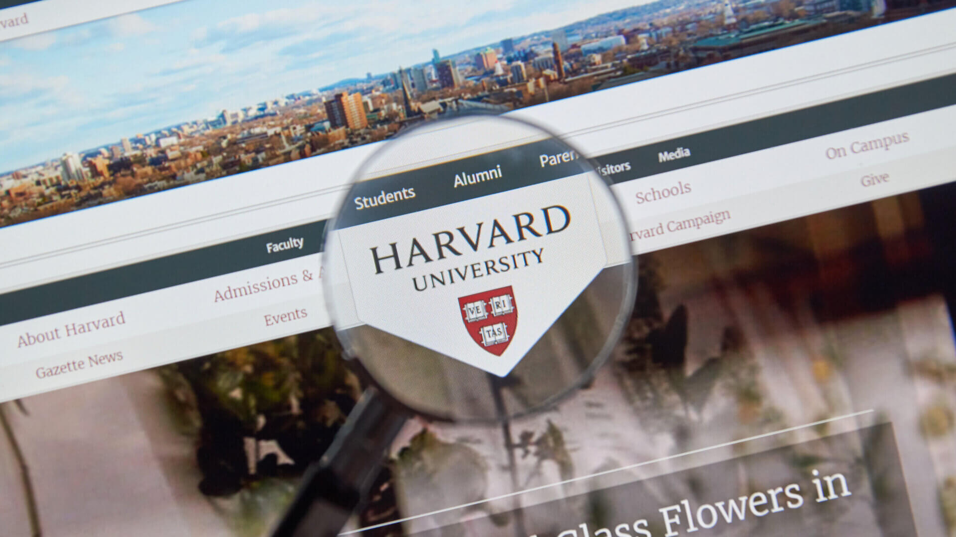 Harvard University web page.